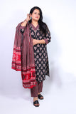 Bagh printed cotton suit
