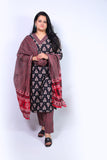 Bagh printed cotton suit
