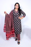 Bagh printed cotton suit